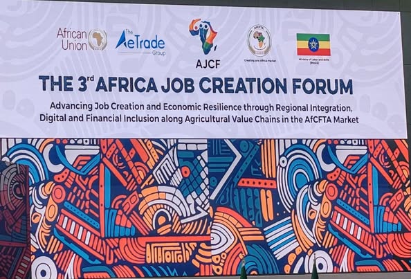 517007530_1176593524494825_4284730848636080579_n