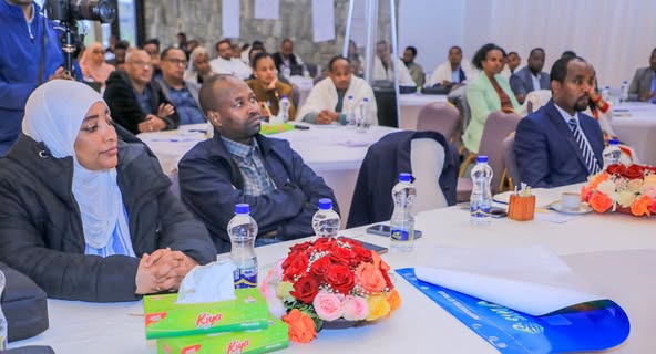 518500608_1183716750466604_7985930589585975631_n