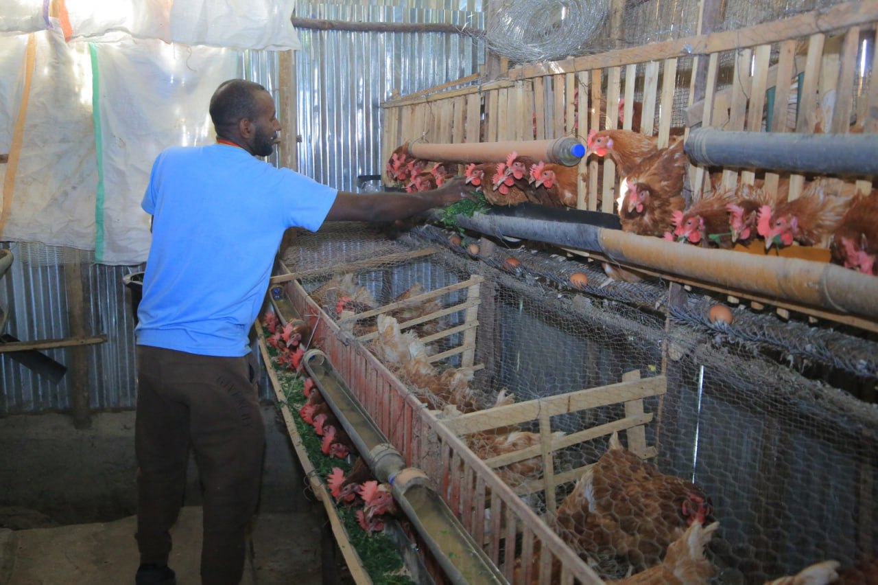 638866489_1210835187897016_2919254407339353138_n