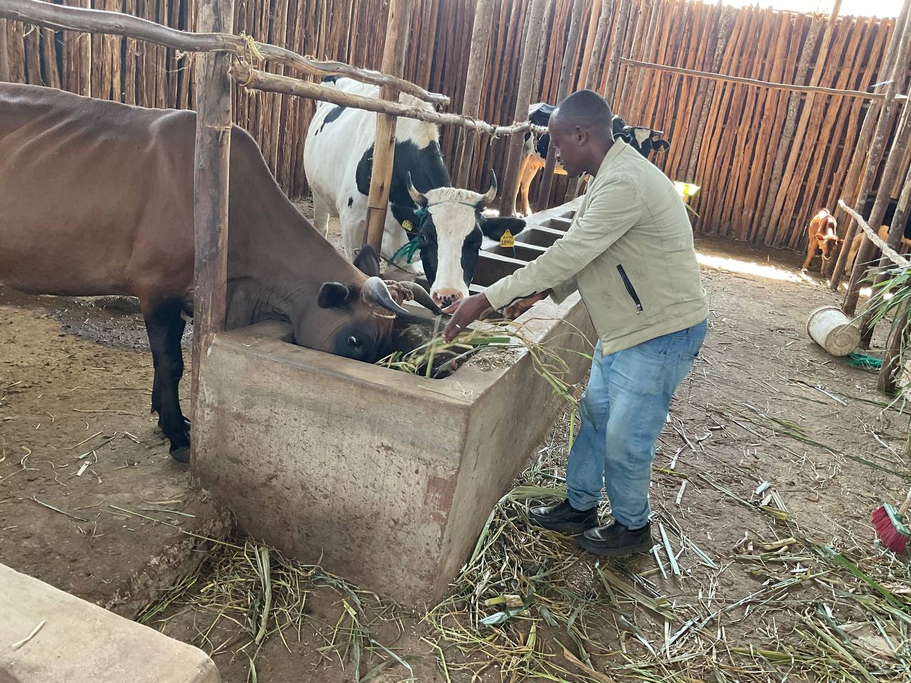 639898950_1212235644423637_1990922614462426826_n