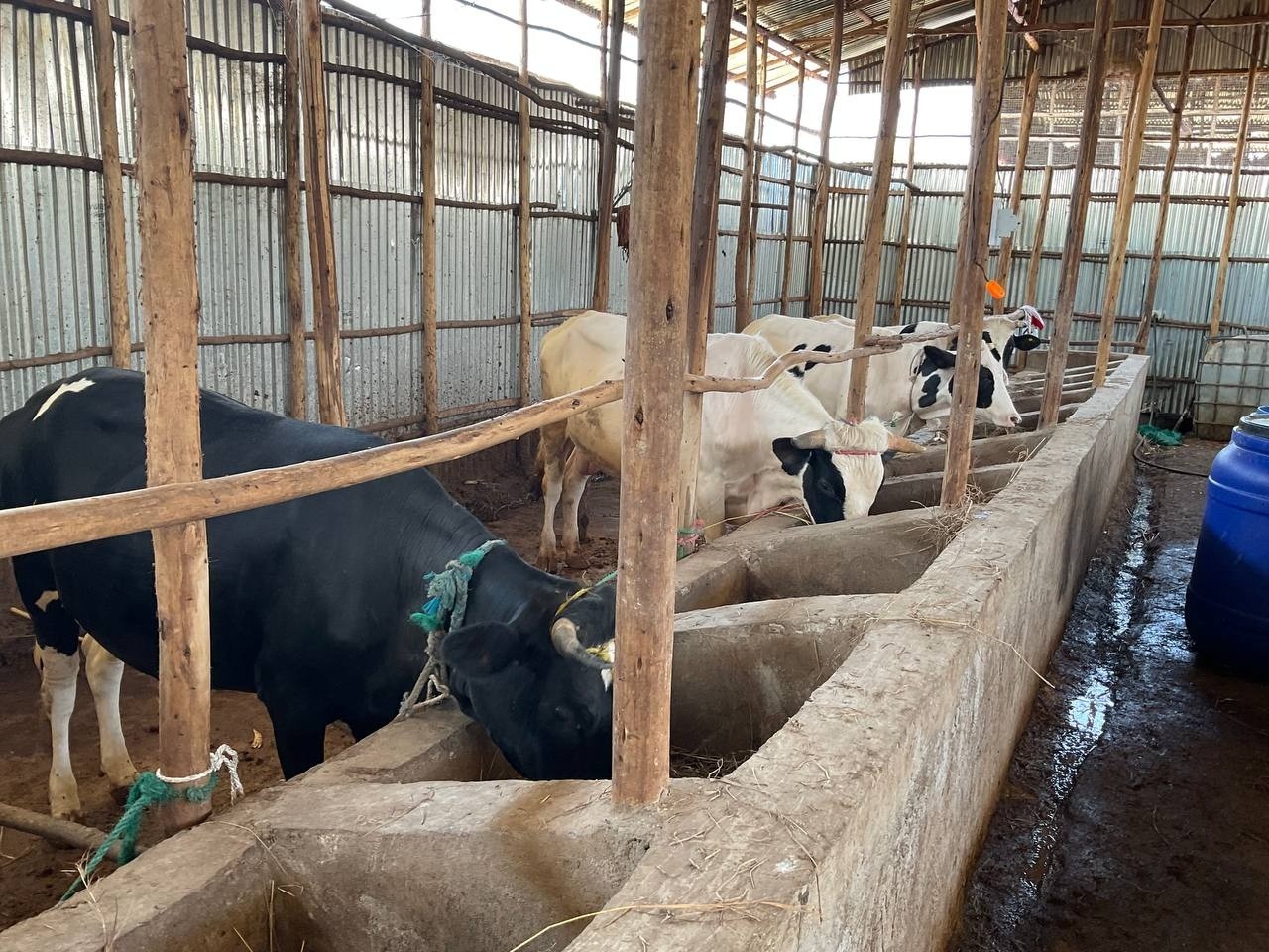 649157513_1224536689860199_121221951919574913_n