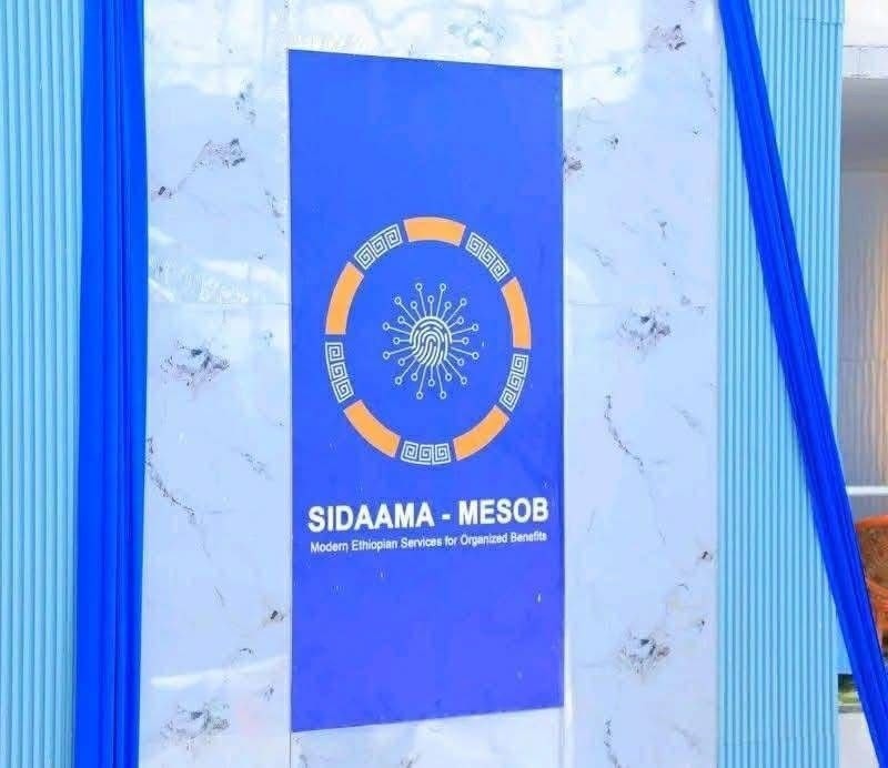 661683116_1239880821659119_672418885317056455_n