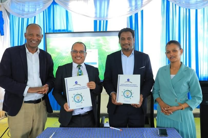 672175570_1251123020534899_6814760544008789131_n